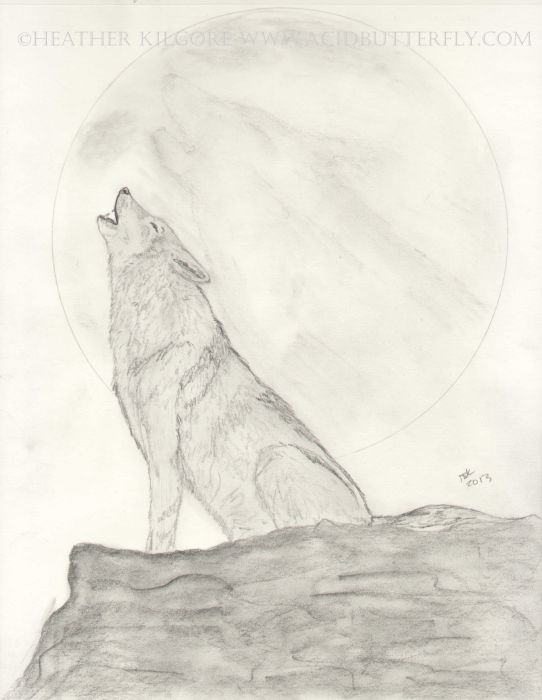 Wolf Moon by Heather Kilgore